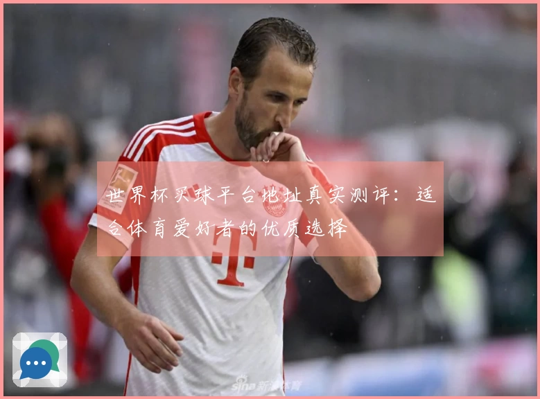 世界杯买球平台地址真实测评:适合体育爱好者的优质选择