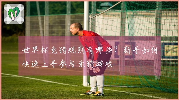 世界杯竞猜规则有哪些？新手如何快速上手参与竞猜游戏