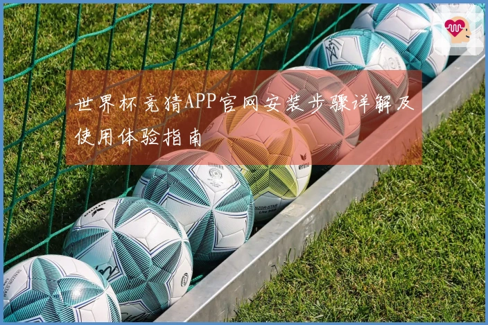 世界杯竞猜APP官网安装步骤详解及使用体验指南