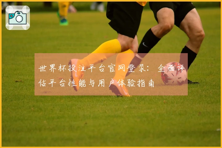 世界杯投注平台官网登录：全面评估平台性能与用户体验指南