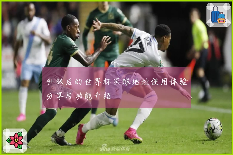 升级后的世界杯买球地址使用体验分享与功能介绍