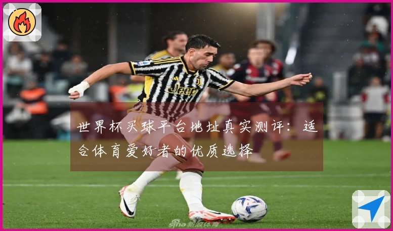 世界杯买球平台地址真实测评：适合体育爱好者的优质选择