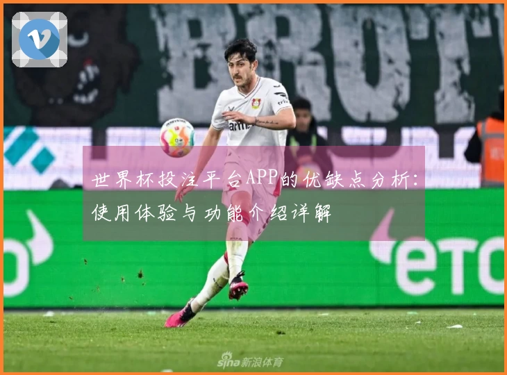 世界杯投注平台APP的优缺点分析：使用体验与功能介绍详解