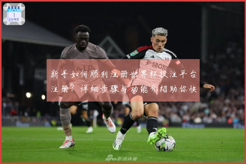 新手如何顺利注册世界杯投注平台注册？详细步骤与功能介绍助你快速上手