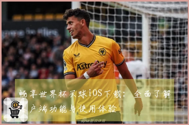 畅享世界杯买球iOS下载：全面了解客户端功能与使用体验