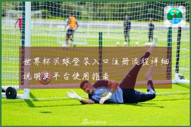 世界杯买球登录入口注册流程详细说明及平台使用指南
