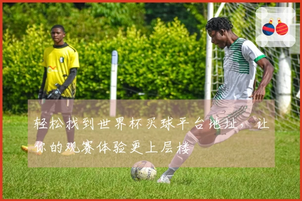 轻松找到世界杯买球平台地址，让你的观赛体验更上层楼