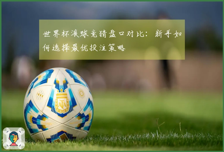 世界杯滚球竞猜盘口对比：新手如何选择最优投注策略