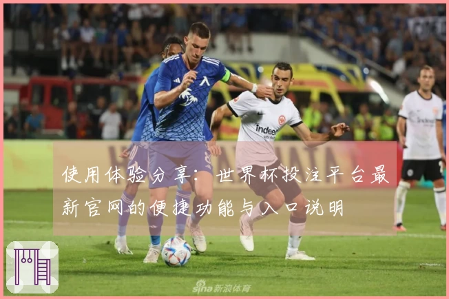 使用体验分享：世界杯投注平台最新官网的便捷功能与入口说明