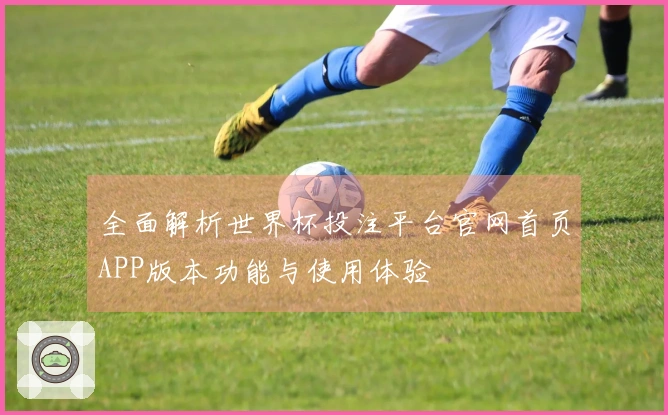全面解析世界杯投注平台官网首页APP版本功能与使用体验