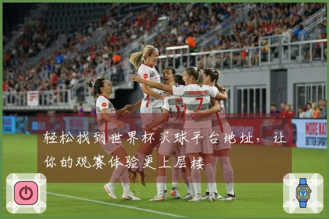轻松找到世界杯买球平台地址，让你的观赛体验更上层楼