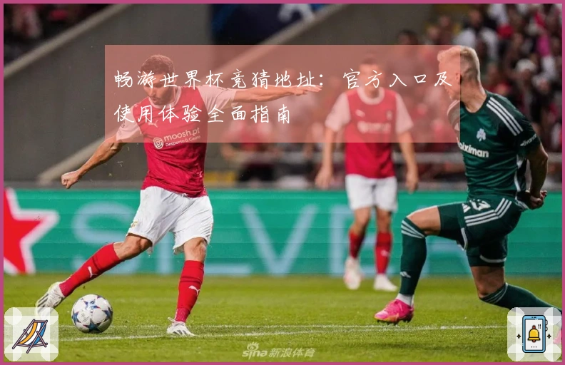畅游世界杯竞猜地址：官方入口及使用体验全面指南